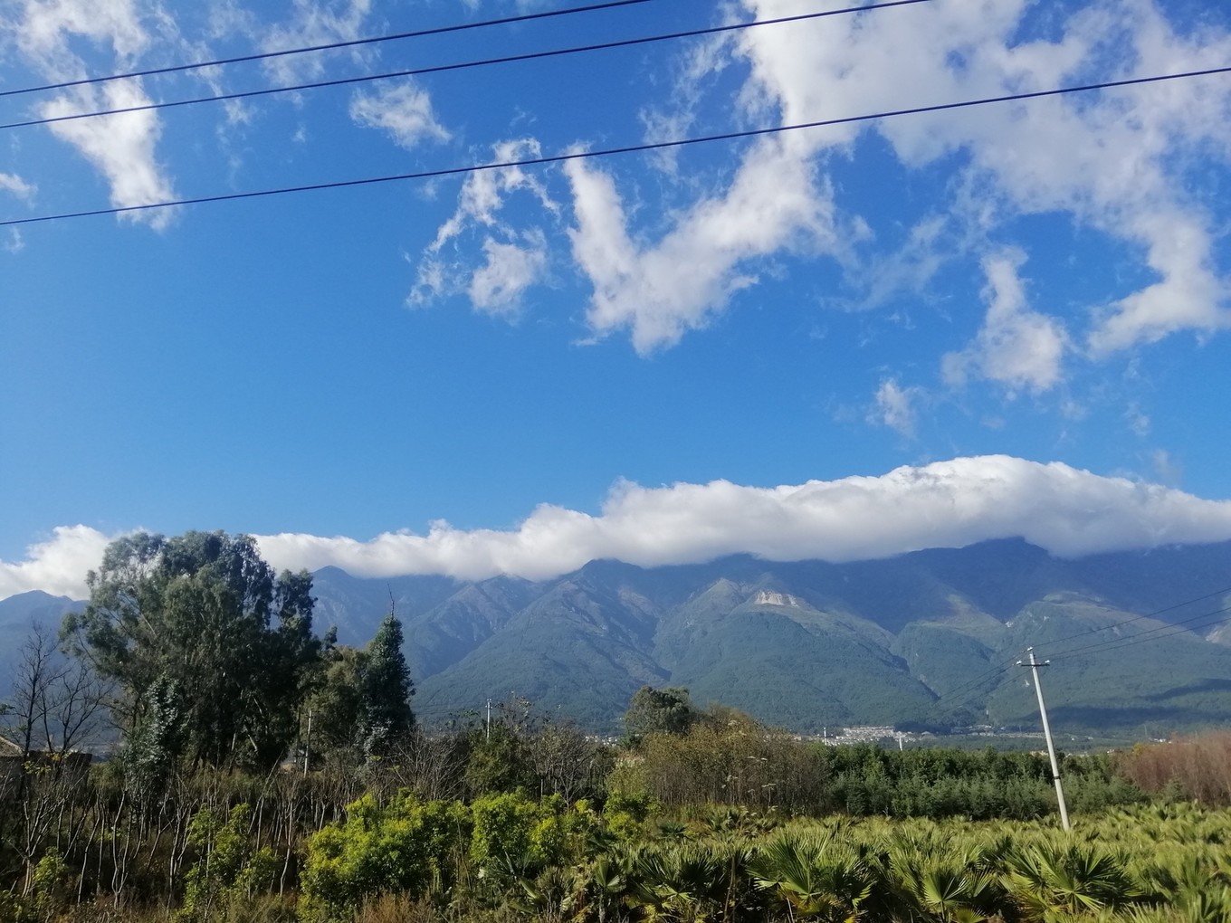 云南六日五晚免费游,云南五天四晚一人游