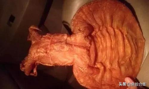 花胶的种类和区别,花胶一共有几种类型的品种