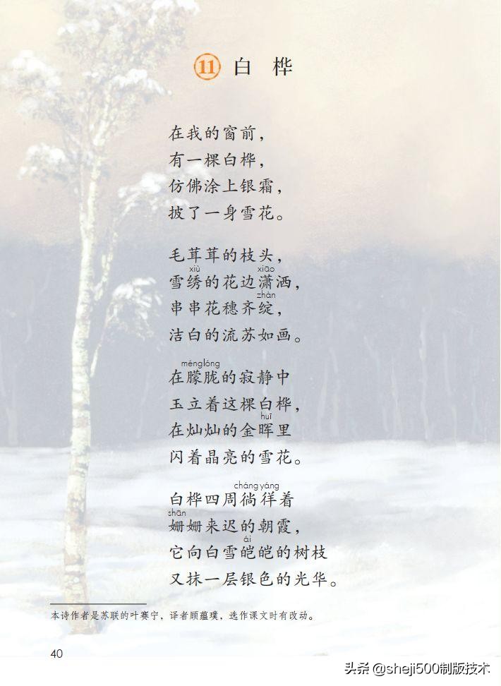 语文教科书四年级下册11课白桦,四年级语文书下册白桦讲解及预习
