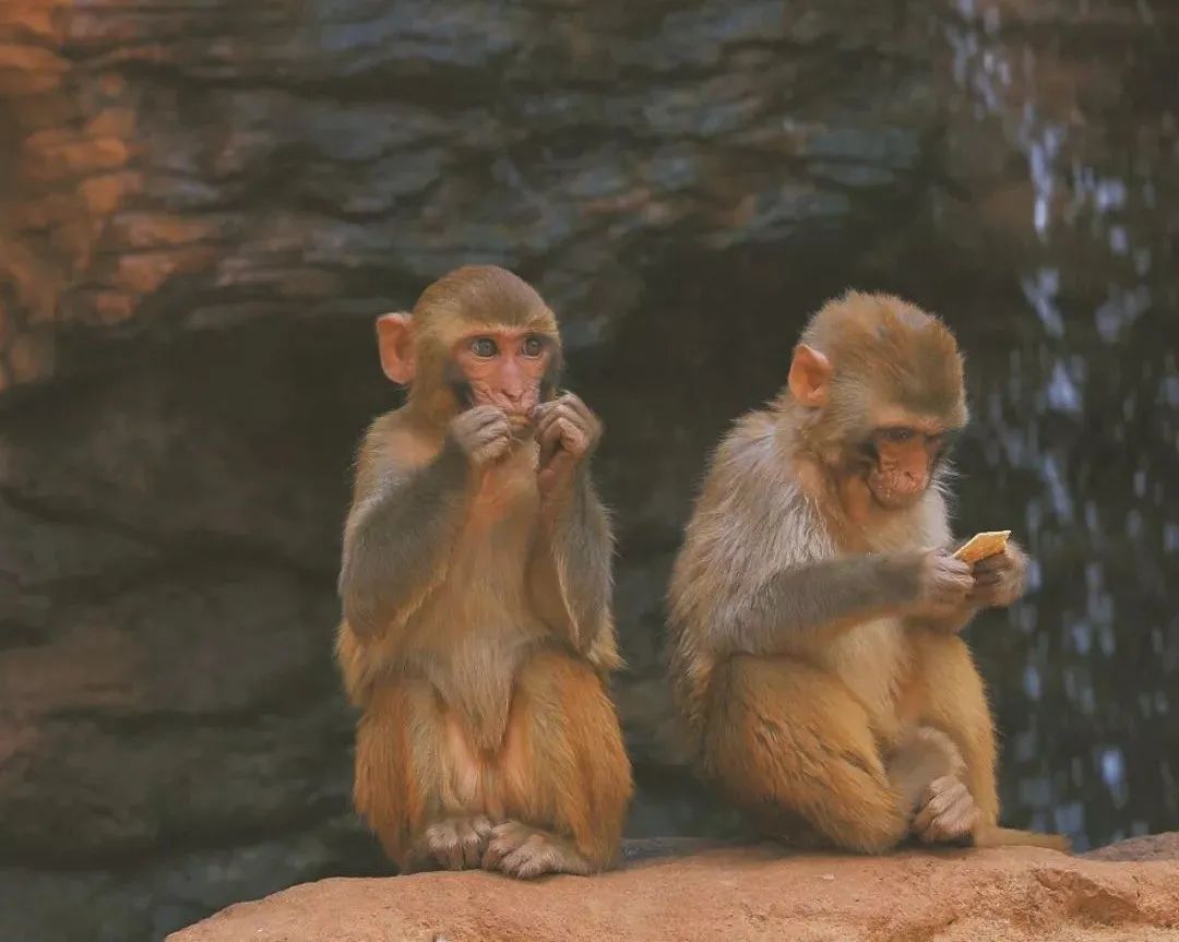 最近昆明有没有最值得去玩景点,推荐昆明最适合去玩的地方