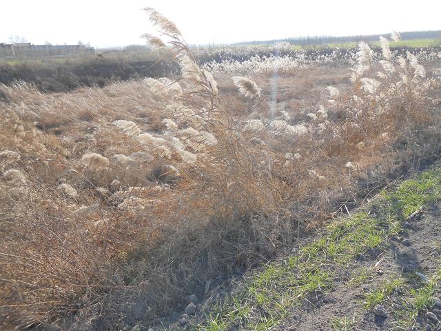 鐏垫布杈熼泹,鐏靛彴鐏垫布杈熼泹