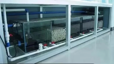 不慎掉进水里应该如何自救,不慎落水我们如何自救