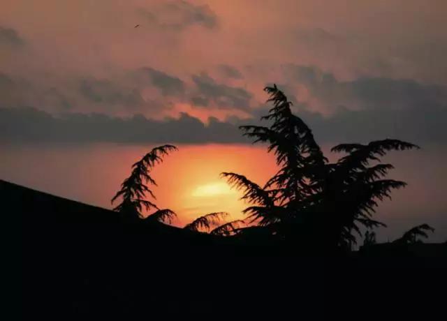 拍照模糊的方法是什么,拍照模糊如何去掉