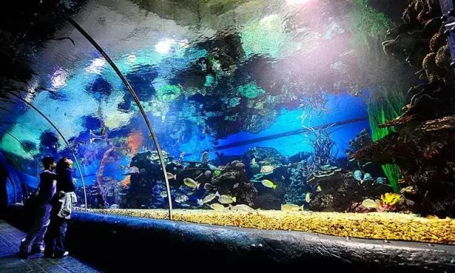 辽宁旅游景点推荐3天自由行,辽宁学生旅游景点推荐