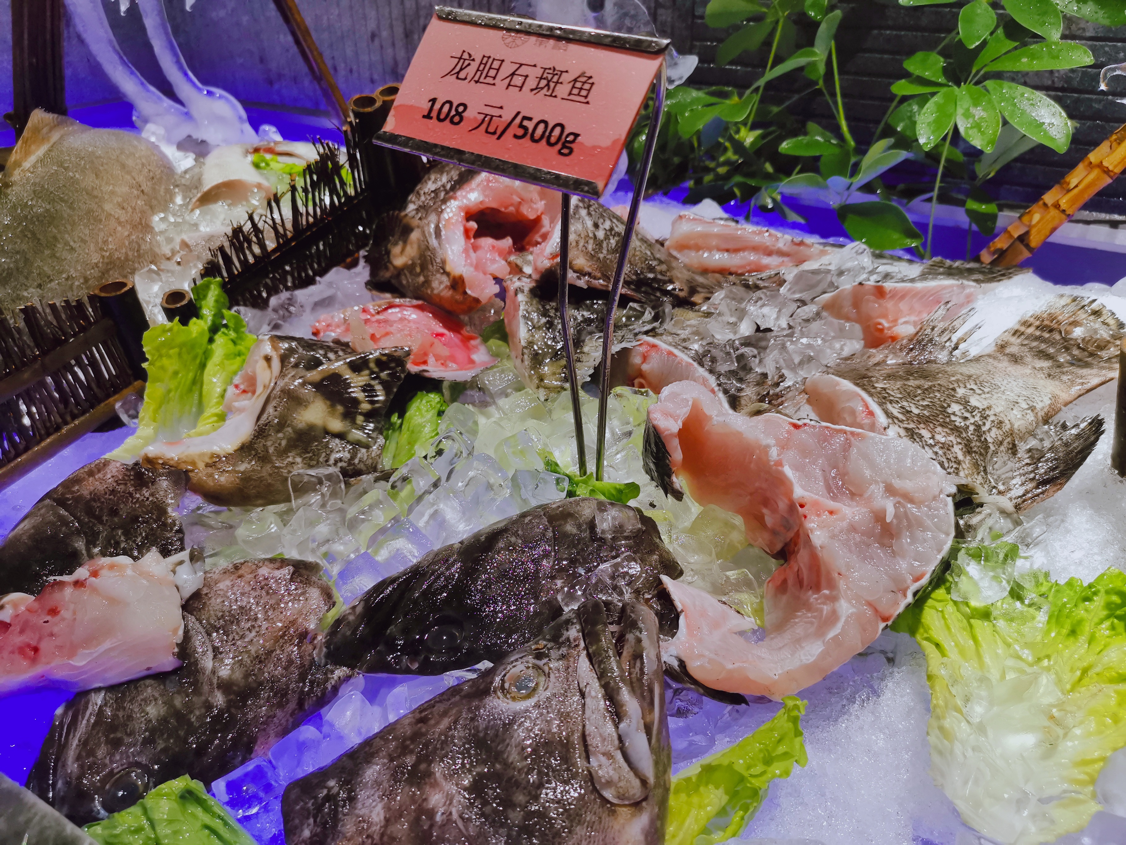 5天4晚畅游三亚攻略,三亚旅行3000玩转四天三夜