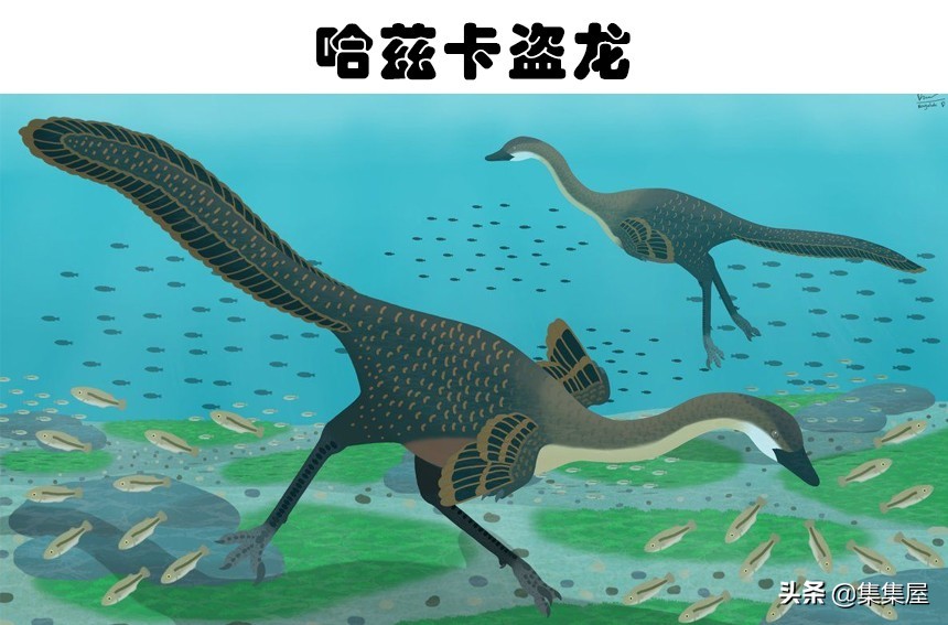 科学家发现的四种奇怪动物,科学家发现的极度奇怪的生物