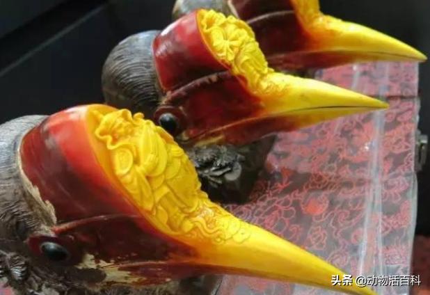 鹤顶红百科简介,鹤顶红的未解之谜