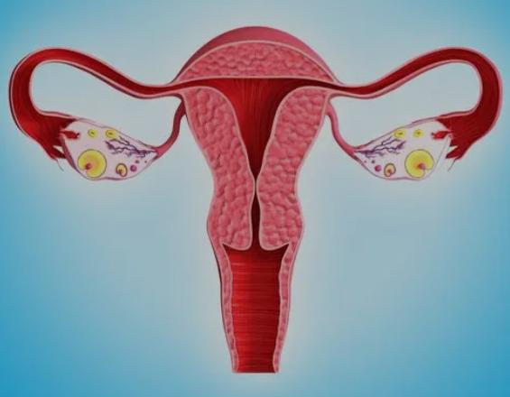 月经总是提前到来，到底是哪里的问题？女性朋友要早了解