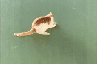 冻死的鱼解冻还会活吗,被冻在冰块里的鱼又活了