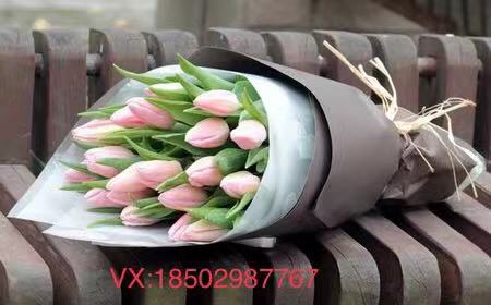 洋桔梗鲜花养护技巧,鲜花红豆养护技巧