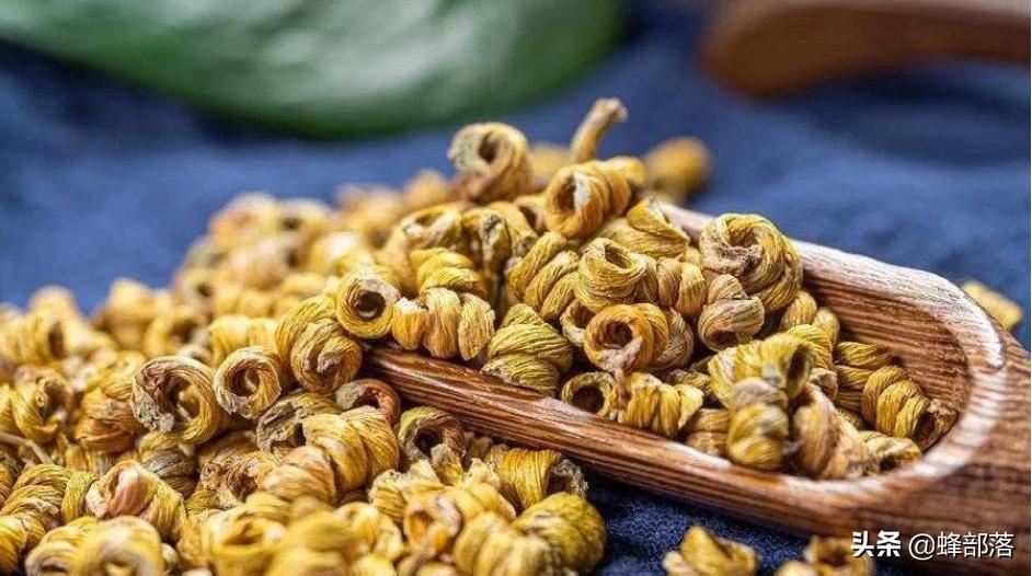 昆虫在哪买卖,农村常见的昆虫哪些可以养