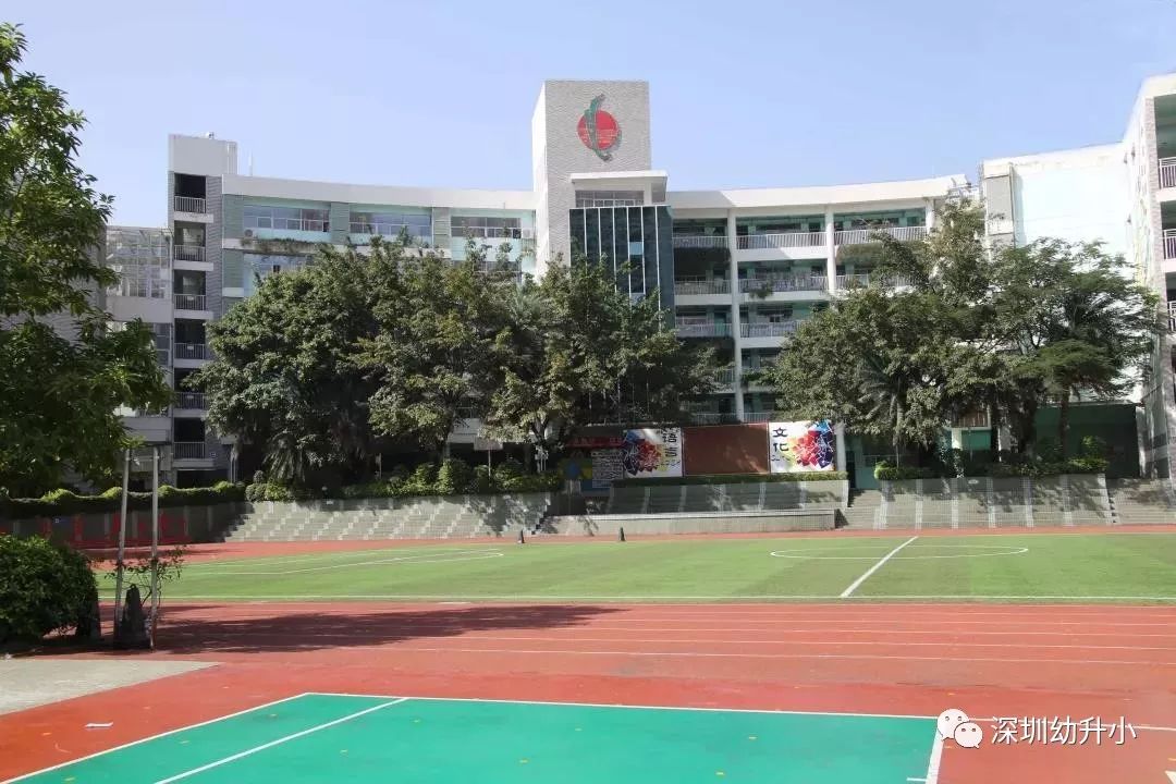 深圳十大名校高中录取率,深圳读小学不用深户的学校排名