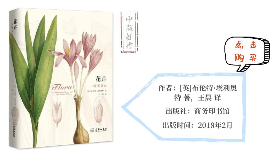 新手摆地摊看什么书,摆地摊有哪些容易学而且成本不高