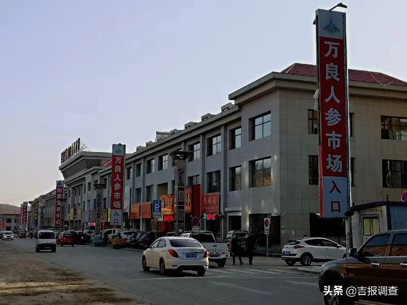 抚松万良人参市场最新价格,吉林抚松万良人参经营大户