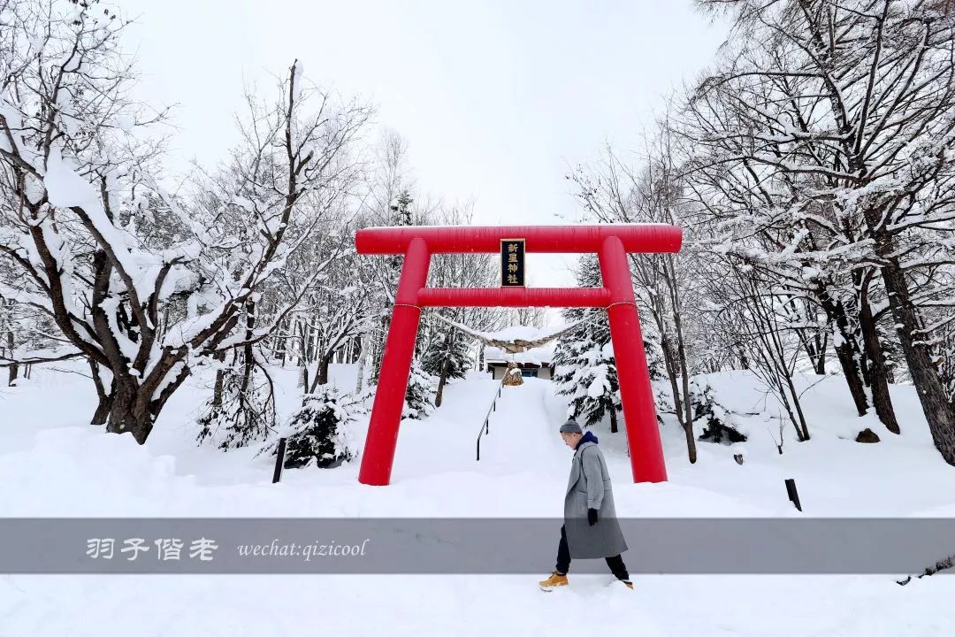老实说,这一趟北海道就是为了拍好看的照片去的