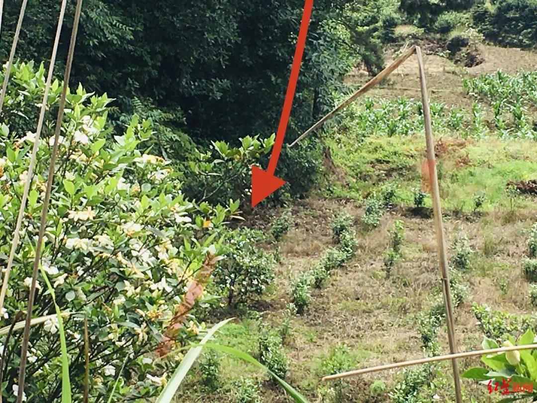 14岁少年杀害表姐案件,14岁少年杀害表姐14年后被抓获