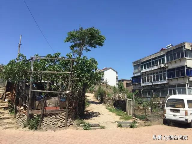 白石地块改造,白石旧改最新消息