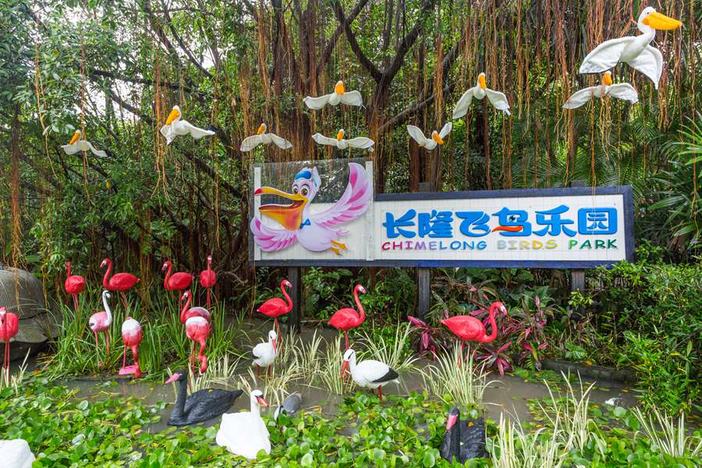 长隆飞鸟乐园湿地精灵,长隆飞鸟公园一日游攻略