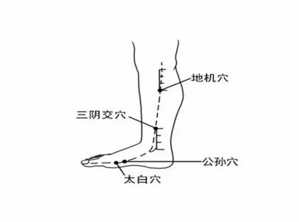 从零学中医按摩,从零学经络第七讲