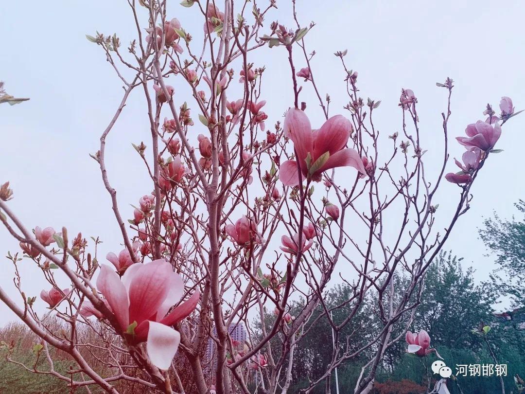 娌抽挗閭挗閾佽矾,娌抽挗閭挗楂樼倝