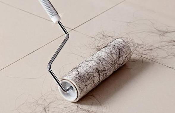 罗永浩对小米科技的评价,罗永浩雷军电商