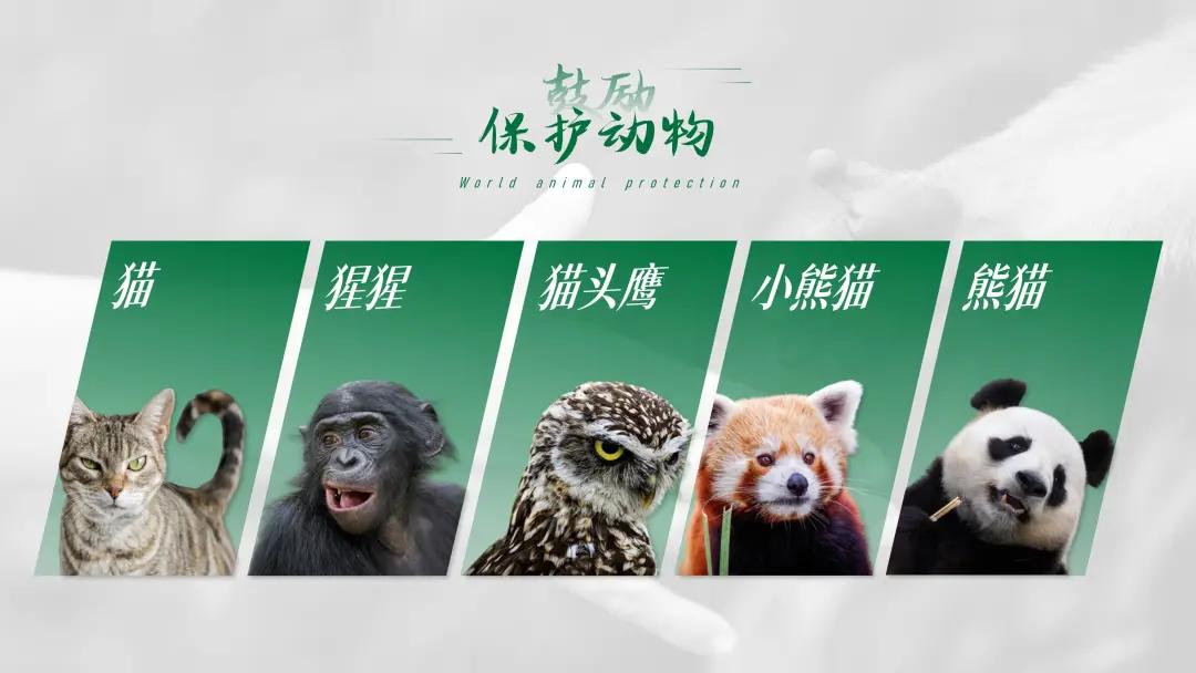 ppt排版设计技巧ppt制作培训教程,ppt优秀的图文排版案例