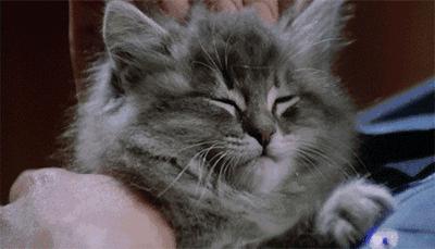 90斤的脸160斤的身材采访,90斤的脸120斤的身材看过来