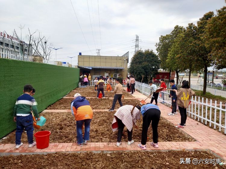 *光春**烂漫静待花开﻿——丰安小学3月活动纪实