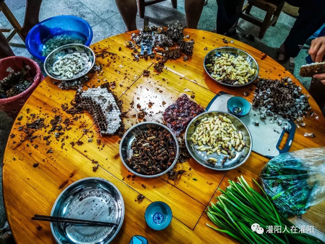 世上最美味的美食,世上的美食有千百种