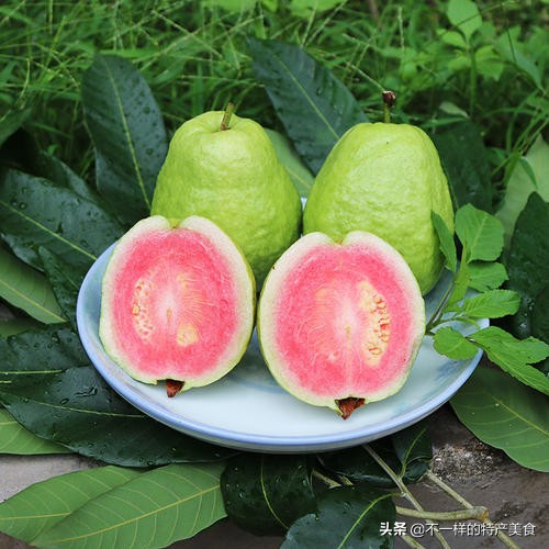 这些水果帮你增强抵抗力,多吃以下6种水果