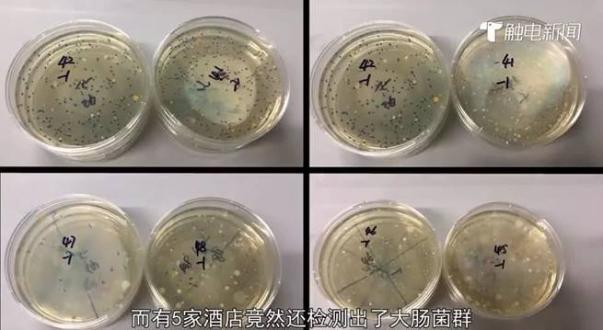 广州多家酒店查出细菌超标,连锁酒店有多脏