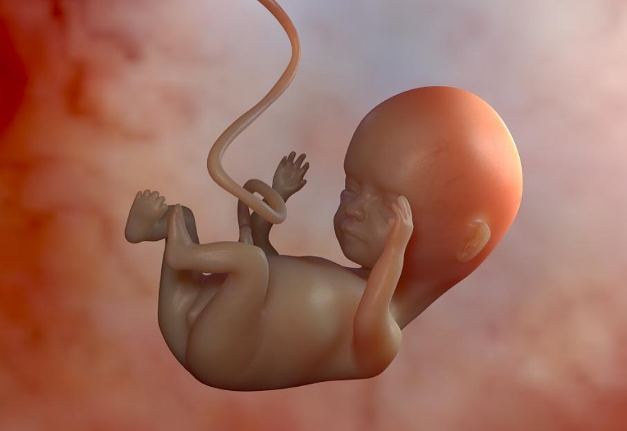 孕期发育全过程注意事项,孕期经验干货50件怀孕才知道的事