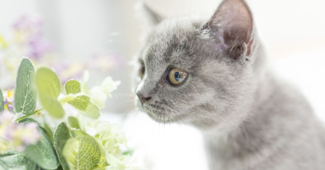 怎样能检测自己的体质,九种体质自测表评分怎么算