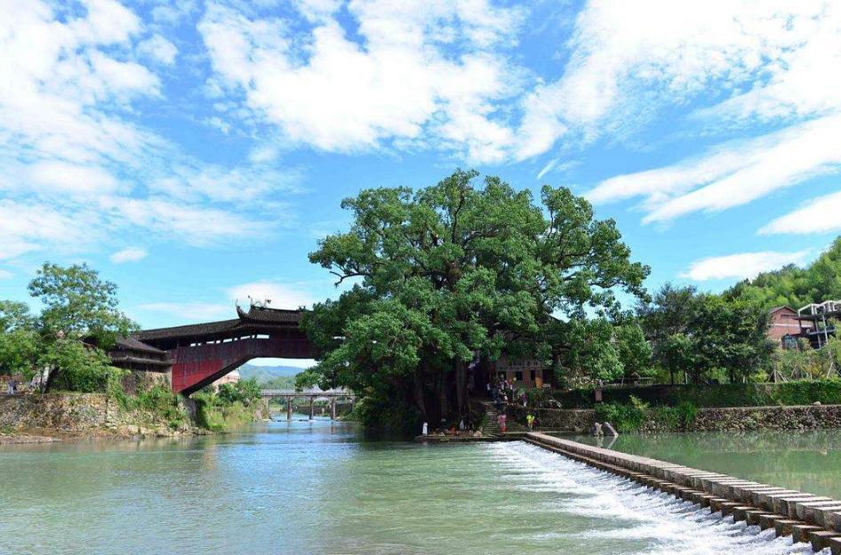 温州人普通生活,温州人的生活是什么样子的