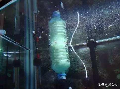 鱼缸怎么去油膜最快最有效的方法,鱼缸有油膜怎么处理干净