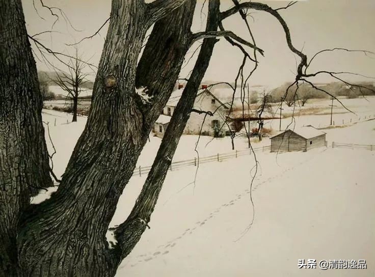 类似安德鲁怀斯的画家,安德鲁怀斯画家视频