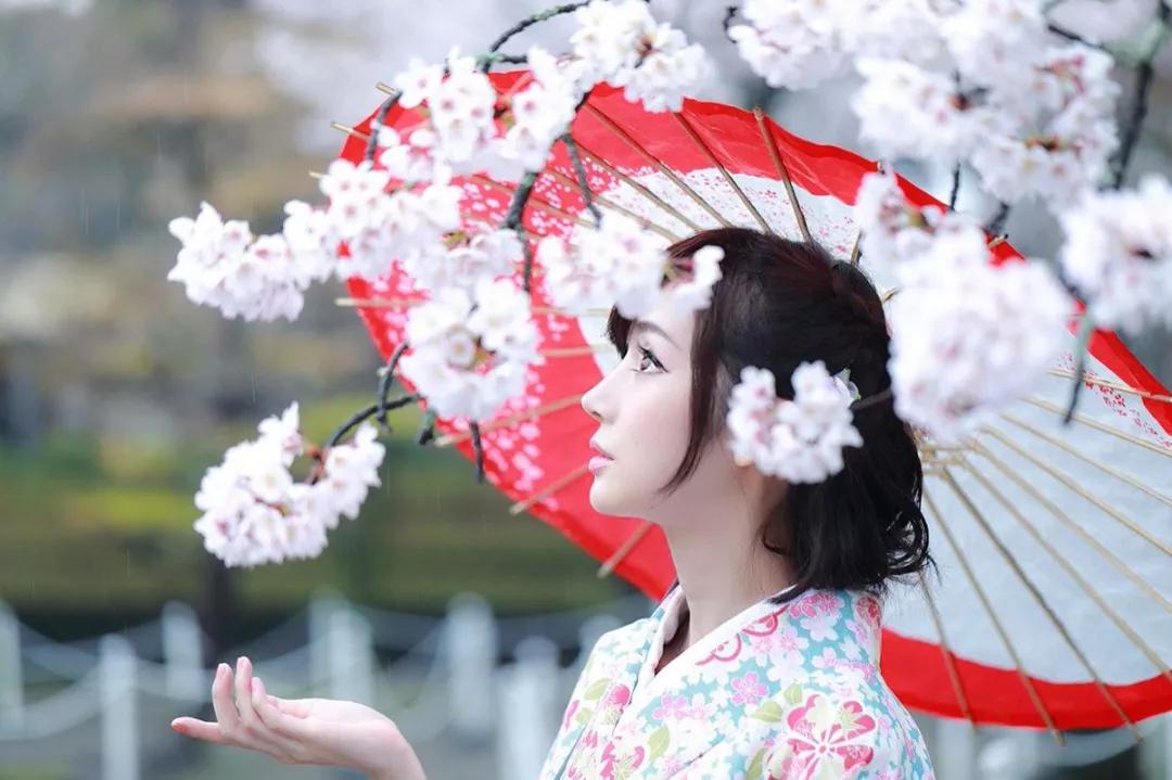 为英伦女神而生，20万日元一把的“樱和伞”，发售一小时就被抢光