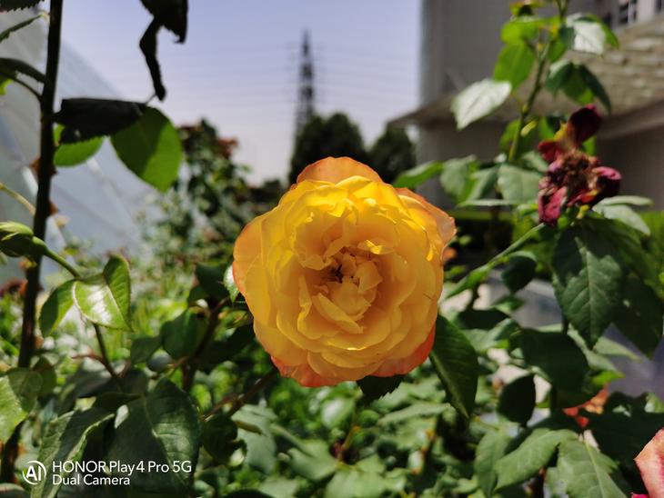 荣耀play4pro深度评测,荣耀play4pro详细评测