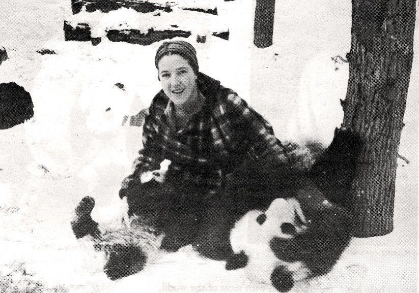 1939年被偷到英国的大熊猫,美国人偷走大熊猫后续