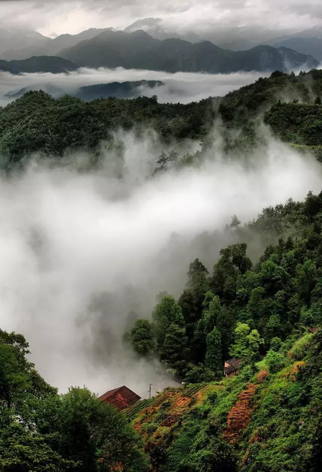 最美白衣战士,最美的白衣战士完整版