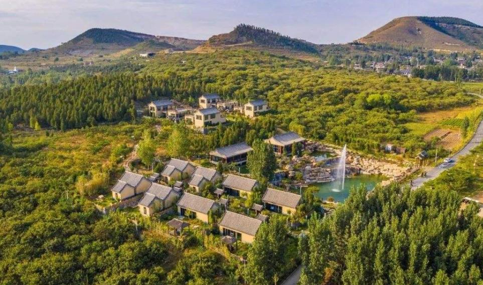 山东临沂菜园,临沂哪个县发展前景好一些