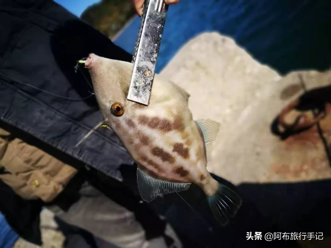 游钓鸣门海峡和濑户内海，天气不好，就算千年日本皇室渔场也不行