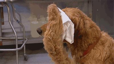 有了它瞬间降温10度,凉爽到心飞扬