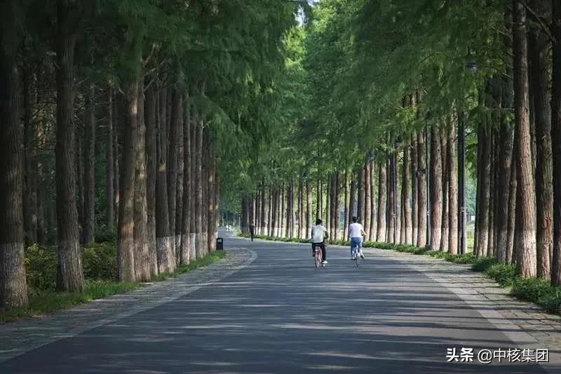 核工业老故事,中国核工业真实的故事