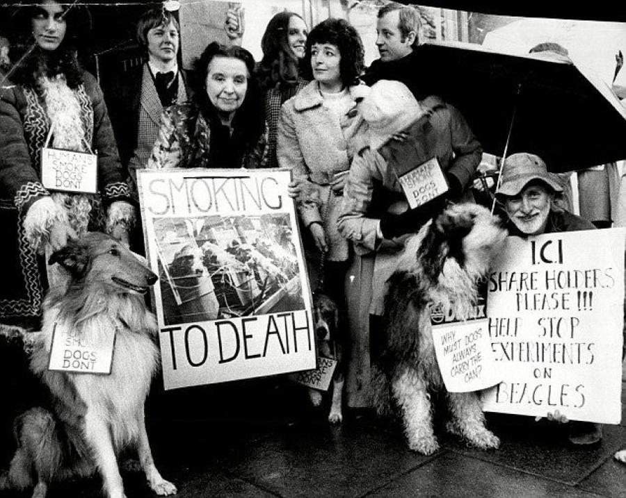 烟草公司证明抽烟对身体无害,英国对48只狗进行吸烟实验