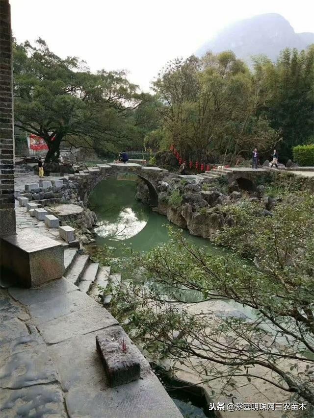 黄姚古镇大黄牛客栈团购优惠,贺州市昭平县黄姚古镇大黄牛客栈