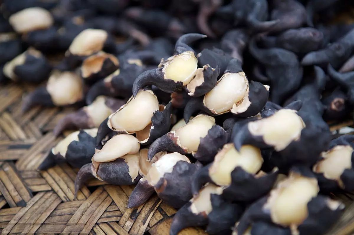 肺吸虫最明显的症状,什么是肺吸虫