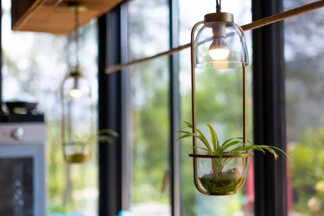 筑梦8年,承包1600亩土地,打造亲子版唐顿庄园,体验庄主生活