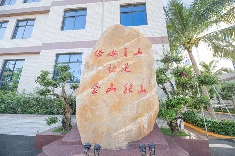 一块月饼的记忆,一块传承了30年老味道的月饼