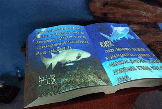 南京海底世界小朋友要票吗,南京海底世界99元一大一小套票